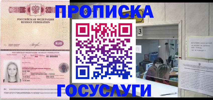 прописка паспорт в Чудово